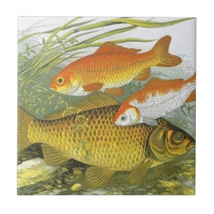 Goldfish Koi Fish, Vintage Marine Aquatic Sea Life Tile