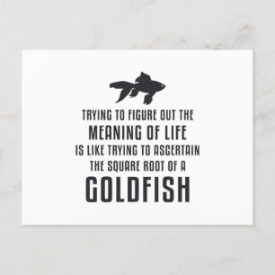 Goldfish Meaning Of Life Goldfish Retro Funny Fish Postcard