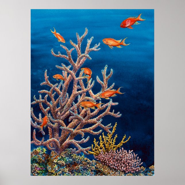 Goldfish of the Sea Poster (Front)