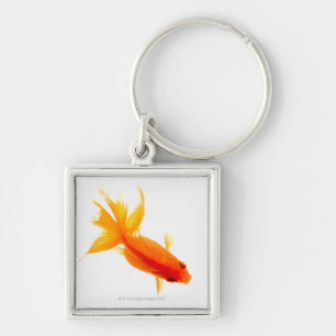 Goldfish, overhead view key ring