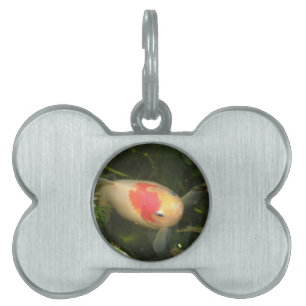 Goldfish Pet Tag