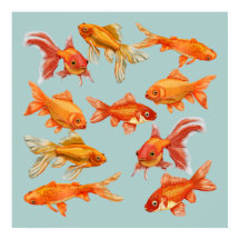 Goldfish