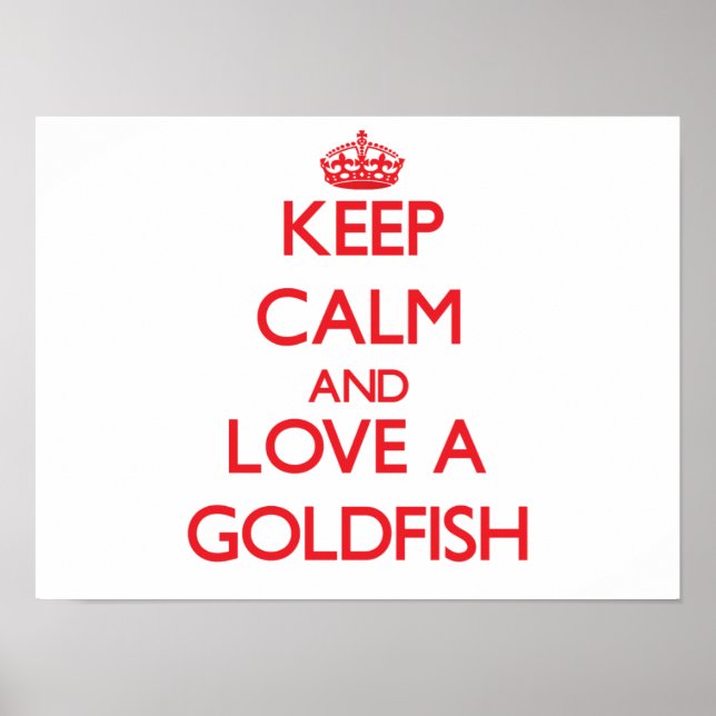 Goldfish Poster (Front)