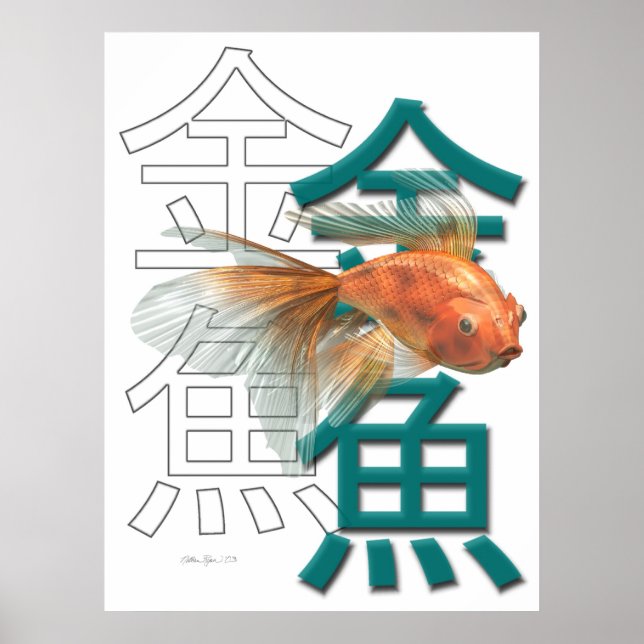 GoldFish Poster (Front)
