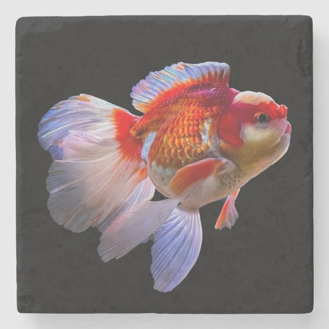 Goldfish with Black Background Stone Coaster (Front)