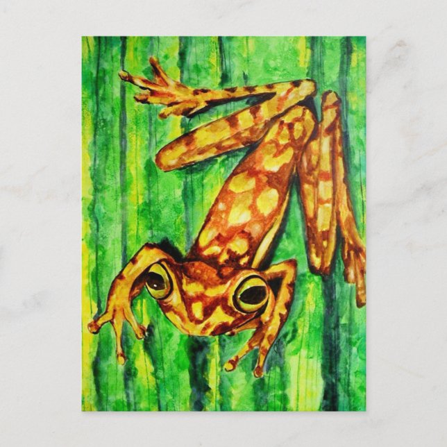 Goldie The Tree Frog Postcards (Front)