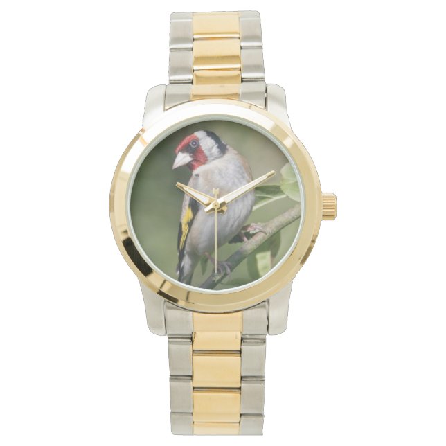 Goldie Watch (Front)