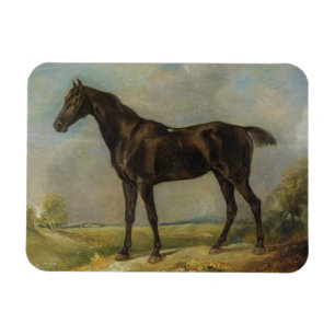 Golding Constable's Black Riding-Horse, c.1805-10 Magnet
