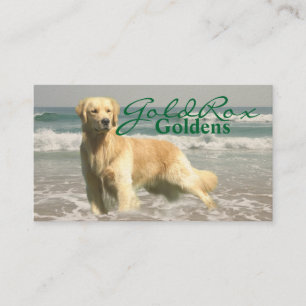 GoldRox Goldens Business Card
