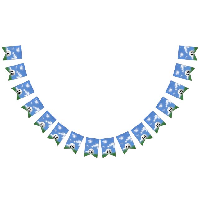 Golf Ball for 16th birthday Bunting Flags (All)