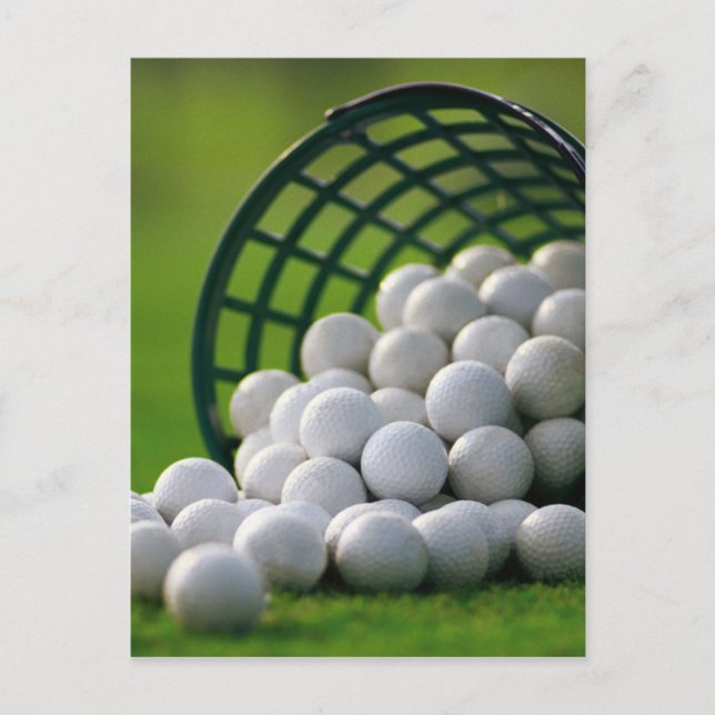 Golf Balls Bucket Postcard (Front)