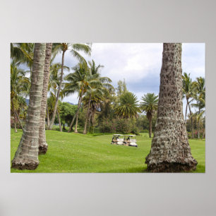Golf Carts at Poipu Bay, Kauai, Hawaii Poster