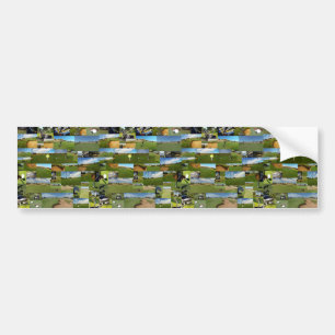 Golf, Photo Collarge,  Bumper Sticker