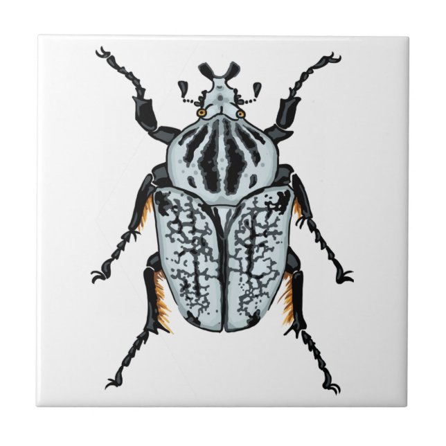 Goliath Beetle (single) Tile (Front)