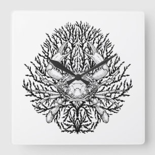 Goliath beetle square wall clock