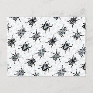 Goliath Beetles Postcard