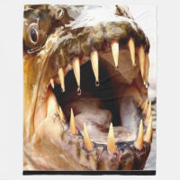 GOLIATH FISH
