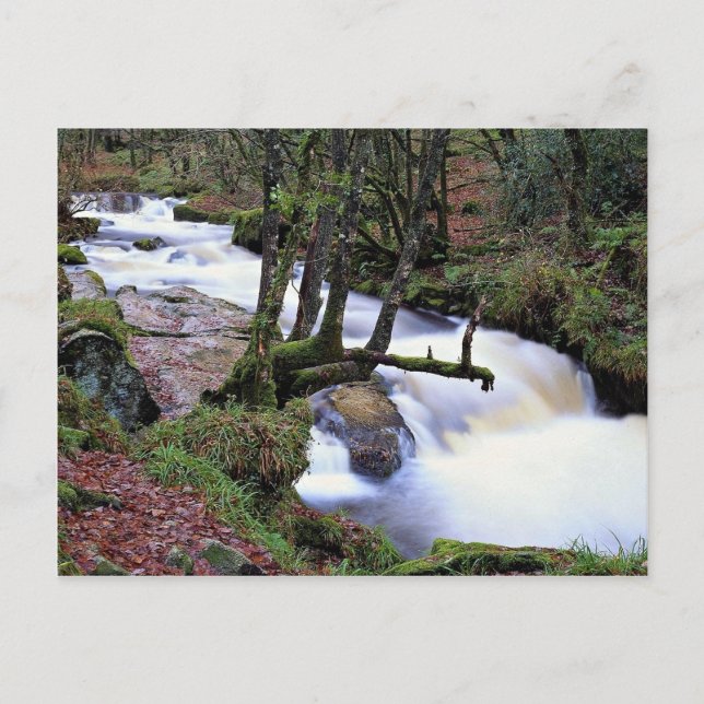 Golitha Falls, Cornwall, England at the Cornish Ri Postcard (Front)