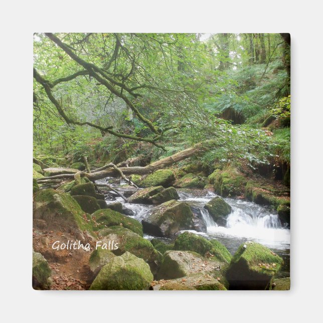 Golitha Falls River Fowey Cornwall England Magnet (Front)