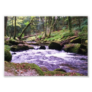 Golitha Falls River Fowey Cornwall England Photo Print