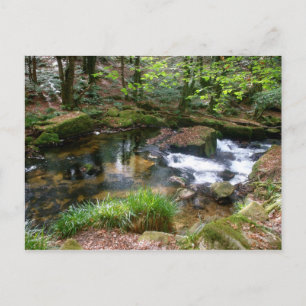 Golitha Falls River Fowey Cornwall England Postcard