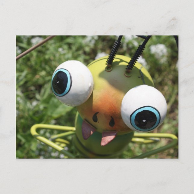 Gone Buggy Postcard (Front)