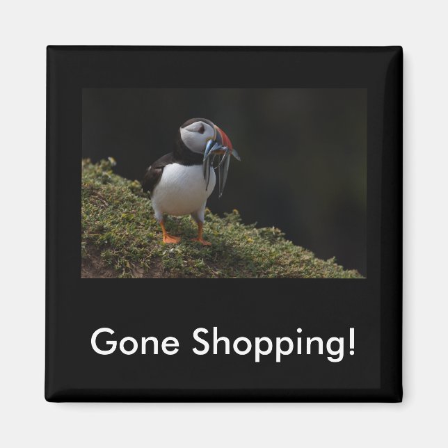 Gone Shopping Fisher Puffin Magnet (Front)