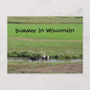 Gone Swimmin' Postcard