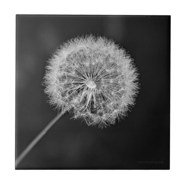 Gone to Seed Tile (Front)