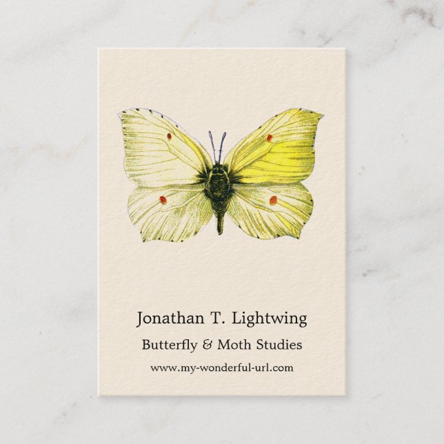 Gonepteryx rhamni - The Common Brimstone Butterfly Business Card (Front)