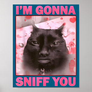 Gonna sniff funny brainrot cats meme for woman man poster