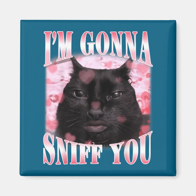 Gonna sniff funny brainrot stupid cat meme graphic magnet (Front)