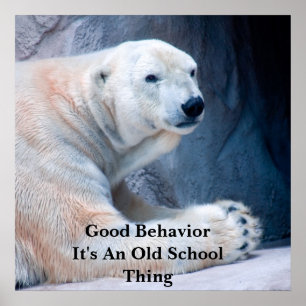 Good BehaviorI Poster