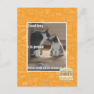 Good boy postcard