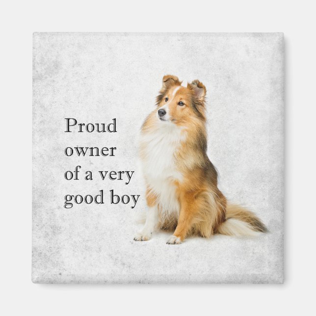 Good Boy Sheltie Magnet (Front)