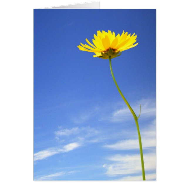 Good Day! l Yellow Flower Against Blue Sky (Front)