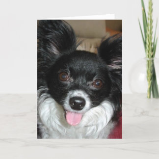 Good Dog - Christmas Holiday Card