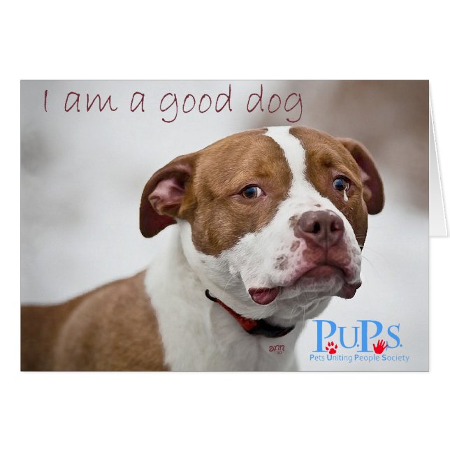 Good Dog Pit Bull Rescue (Front Horizontal)