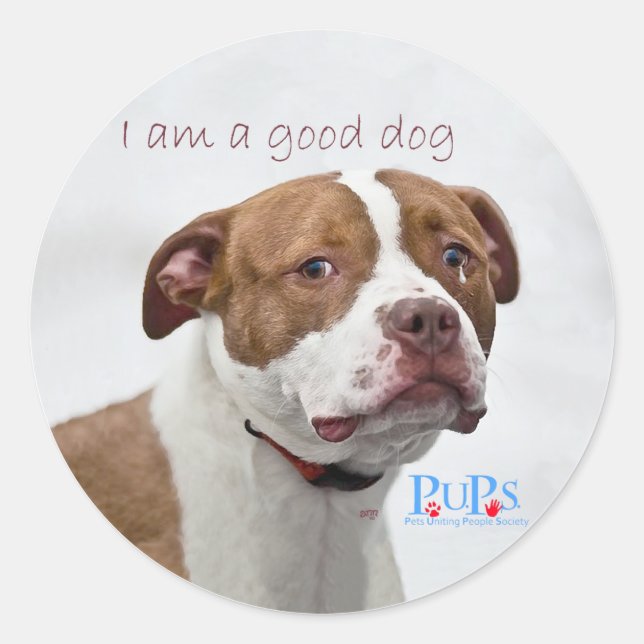 Good Dog Pit Bull Rescue Classic Round Sticker (Front)
