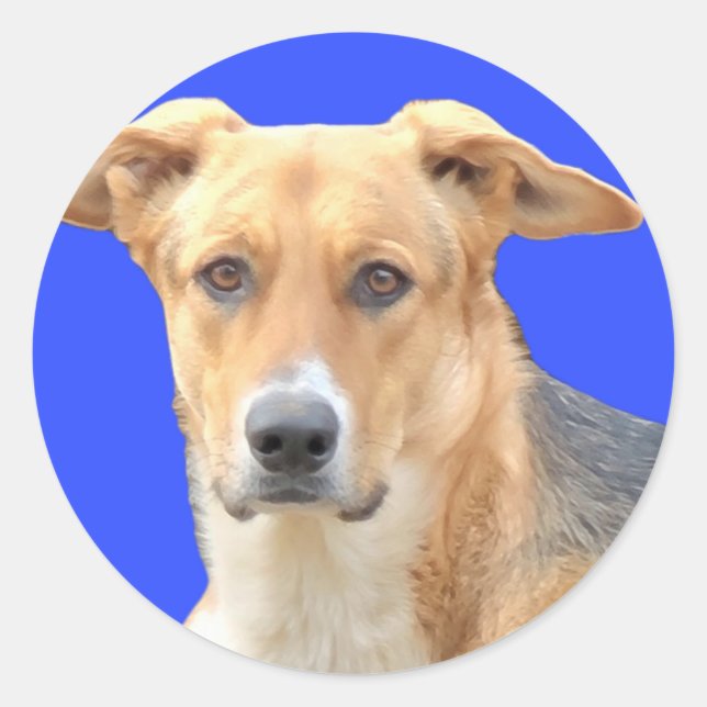 Good Dog Stickers (Front)