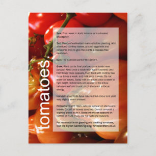 Good Growing Guide: Tomatoes & Garlic Postcard