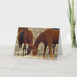 Good Lord's Remuda Herd Friends in Heaven Card