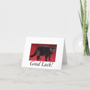 Good Luck cat Card