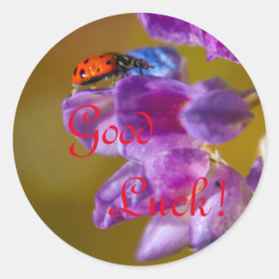 Good Luck! Classic Round Sticker