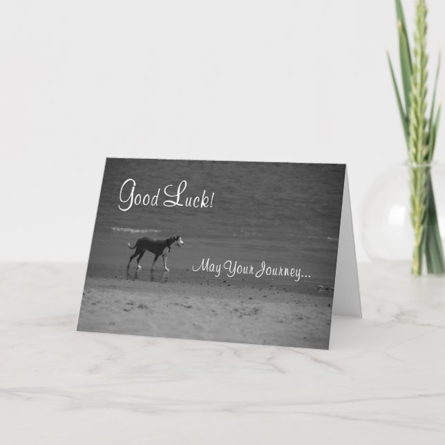 Good Luck Dog on the Beach Card (Front)