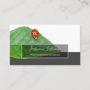 Good luck dotted ladybugs elegant gray rectangle business card