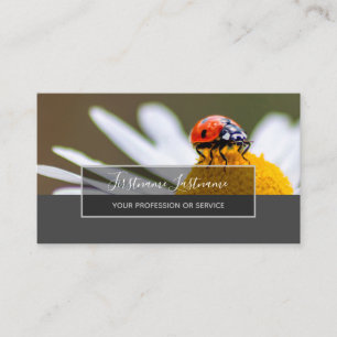 Good luck dotted ladybugs elegant grey rectangle b business card