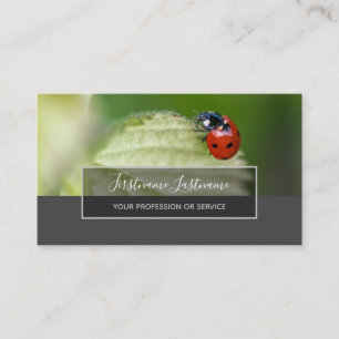 Good luck dotted ladybugs elegant grey rectangle business card