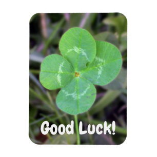 Good Luck! Four Leaf Clover Magnet
