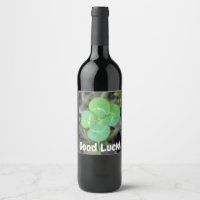 Good Luck! Four Leaf Clover